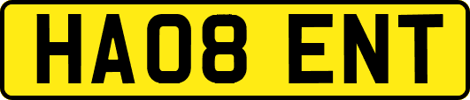 HA08ENT