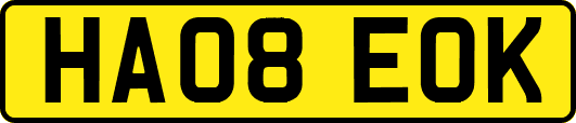 HA08EOK