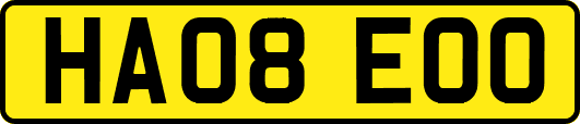 HA08EOO
