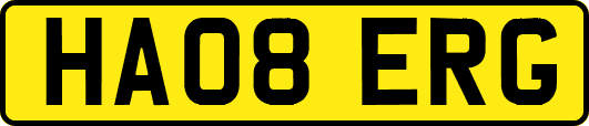 HA08ERG