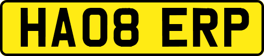 HA08ERP
