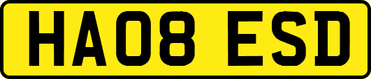 HA08ESD