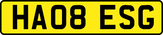 HA08ESG