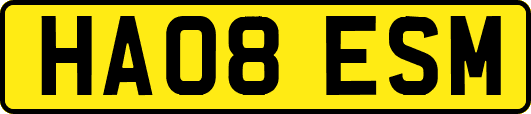 HA08ESM
