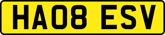 HA08ESV