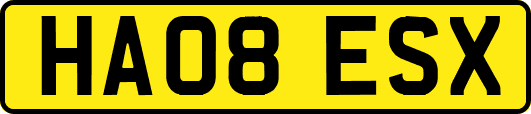 HA08ESX
