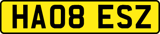 HA08ESZ