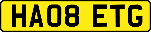 HA08ETG