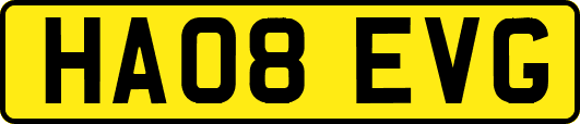 HA08EVG