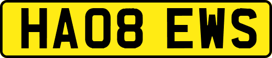 HA08EWS