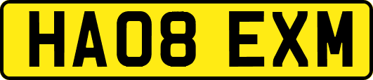 HA08EXM