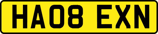 HA08EXN