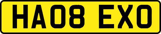 HA08EXO