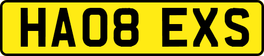 HA08EXS