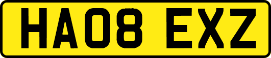HA08EXZ