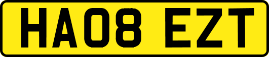 HA08EZT