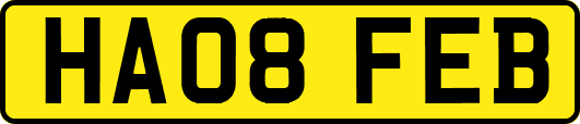 HA08FEB