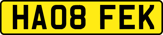 HA08FEK