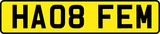 HA08FEM