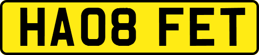 HA08FET