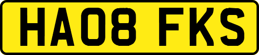 HA08FKS