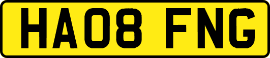 HA08FNG