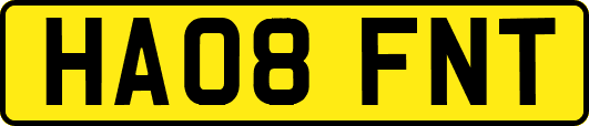 HA08FNT