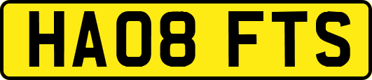 HA08FTS