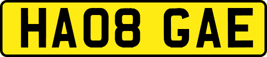 HA08GAE