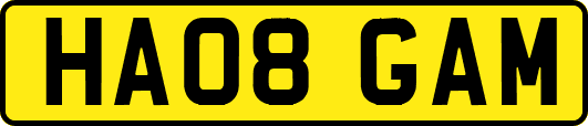 HA08GAM