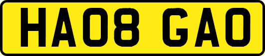 HA08GAO