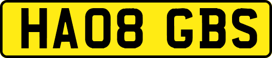 HA08GBS