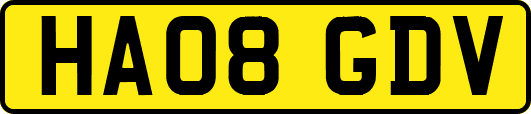 HA08GDV