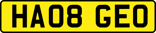 HA08GEO