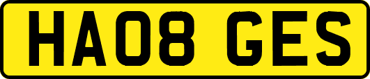 HA08GES