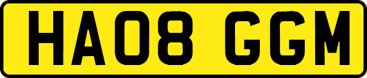 HA08GGM