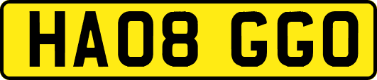 HA08GGO