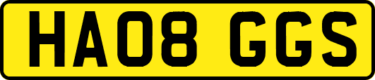 HA08GGS