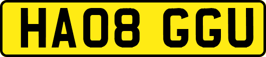 HA08GGU