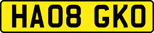 HA08GKO