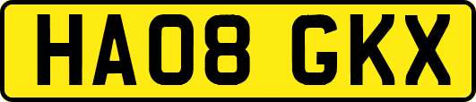 HA08GKX