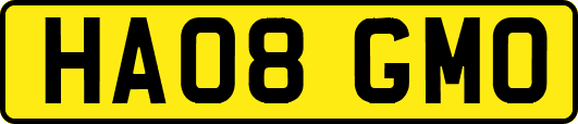 HA08GMO
