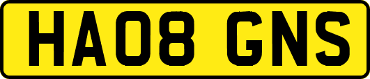 HA08GNS