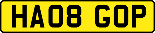 HA08GOP