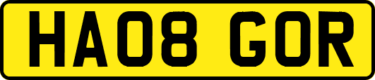 HA08GOR