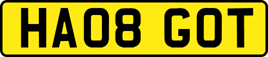 HA08GOT