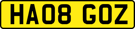 HA08GOZ