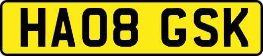 HA08GSK