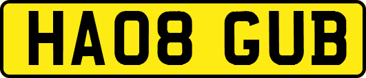 HA08GUB