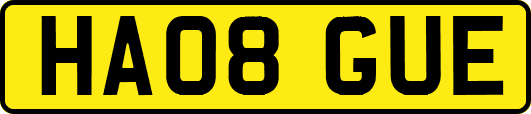 HA08GUE